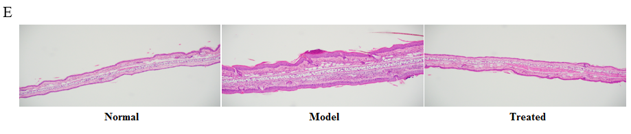 1723712291490992.png 圖片4.png