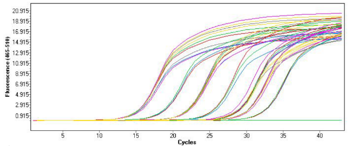 1750058343291712.png 圖2.png