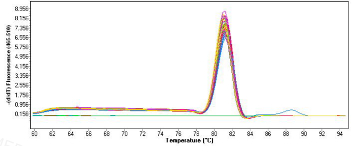 1750058352124086.png 圖3.png