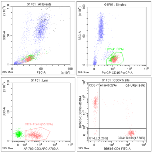 1750058375305224.png 圖4.png