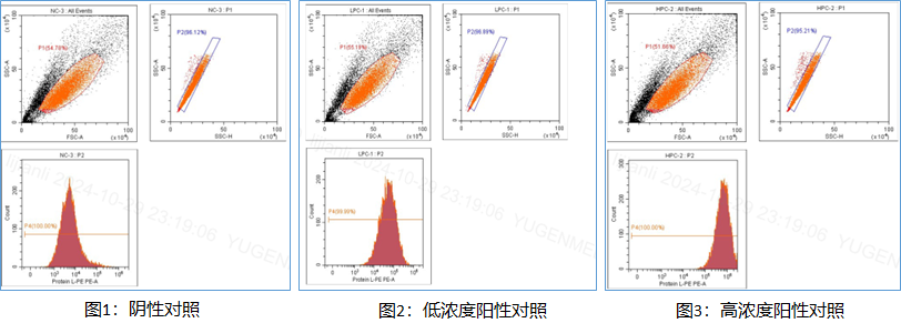 1750058384367061.png 圖5.png