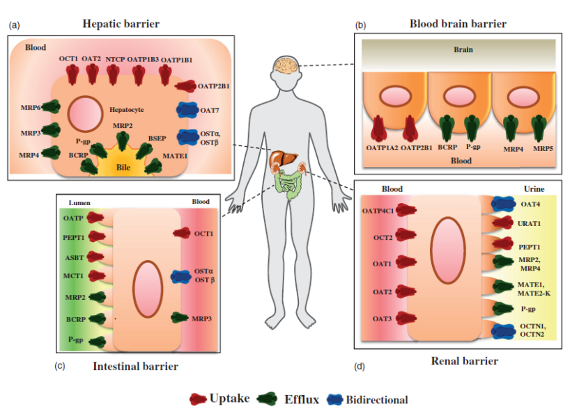 1750059851781715.png image.png