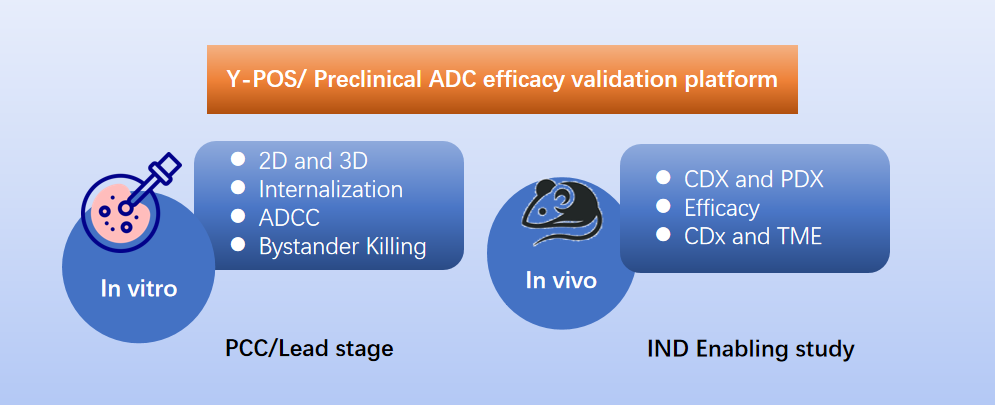 1759979231124774.png 腫瘤7.png