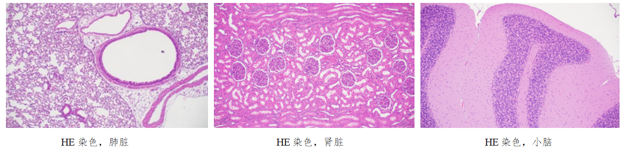 1766972365854740.png image.png