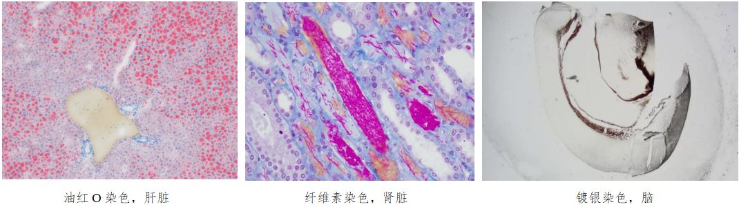 1766972778274973.png image.png