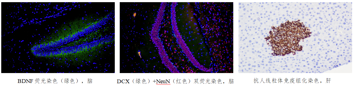 1766972944338315.png image.png