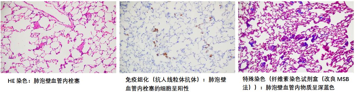 1766973024838861.png image.png