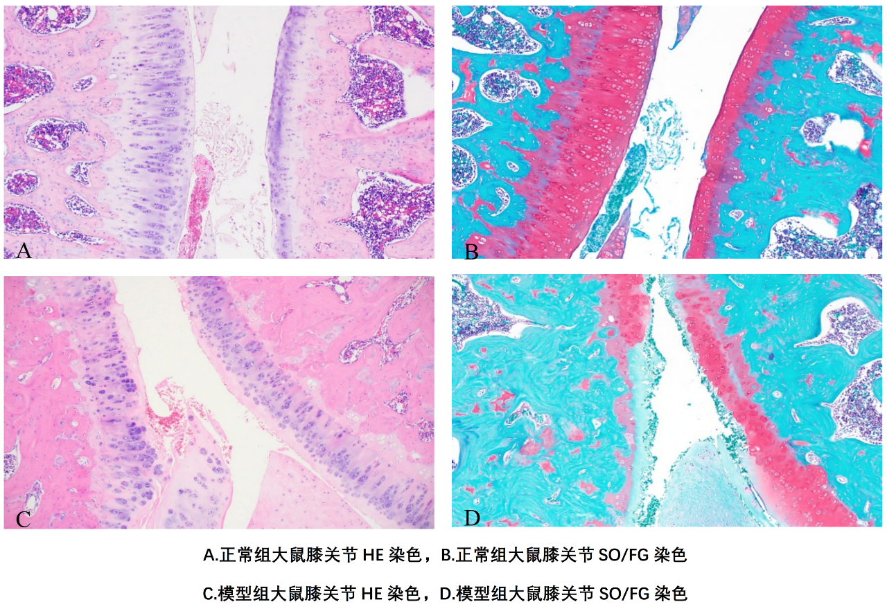 1766973056137761.png 3微信圖片_2025-12-29_095131_259.png