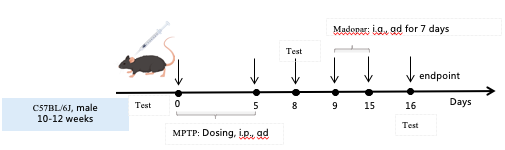 1766974203105014.png 圖片3.png