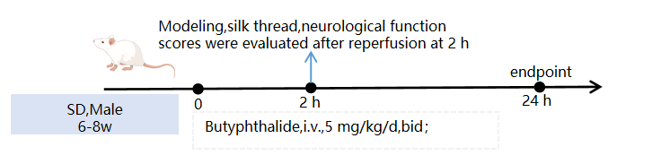 1766974219922171.png 圖片5.png
