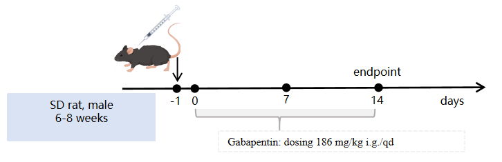 1766974249393955.png 圖片9.png