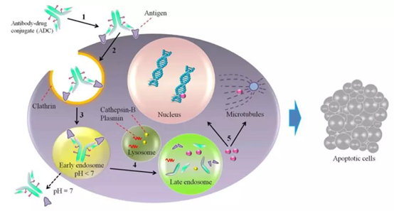 1766974692403939.png 圖片1.png