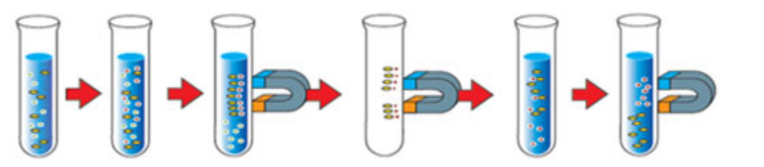 1766974809533766.png 圖片2.png