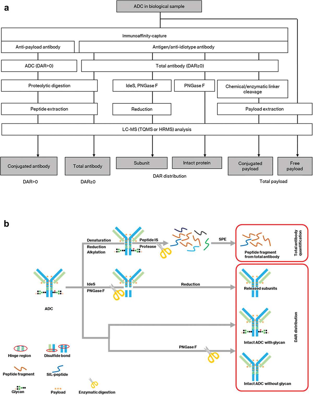 1766974915355786.png 圖片3.png