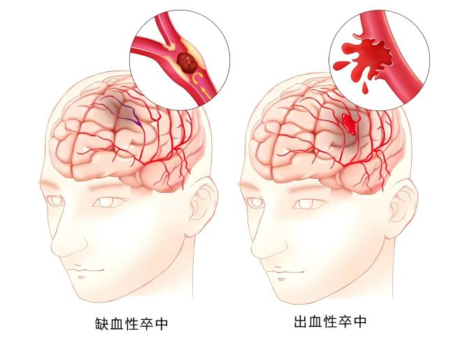 1773711985465130.png 圖片1.png