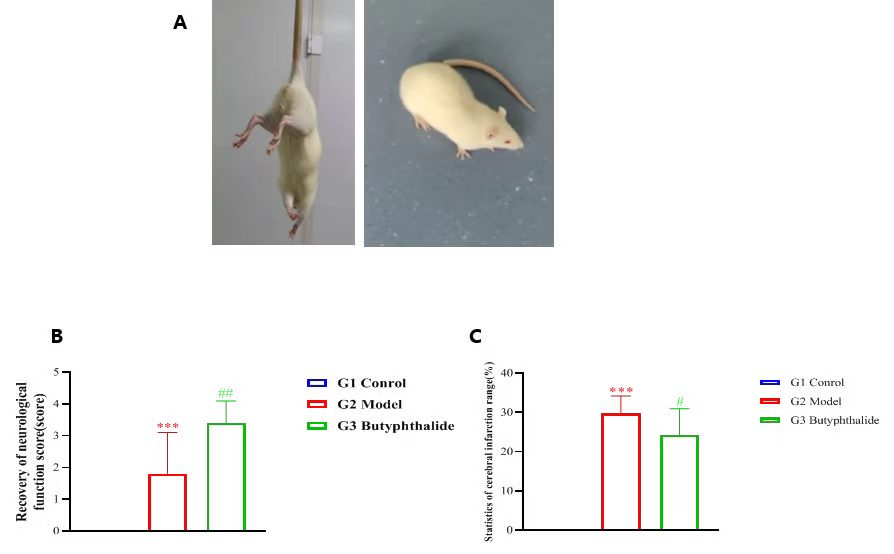 1773712004410523.png 圖片2.png