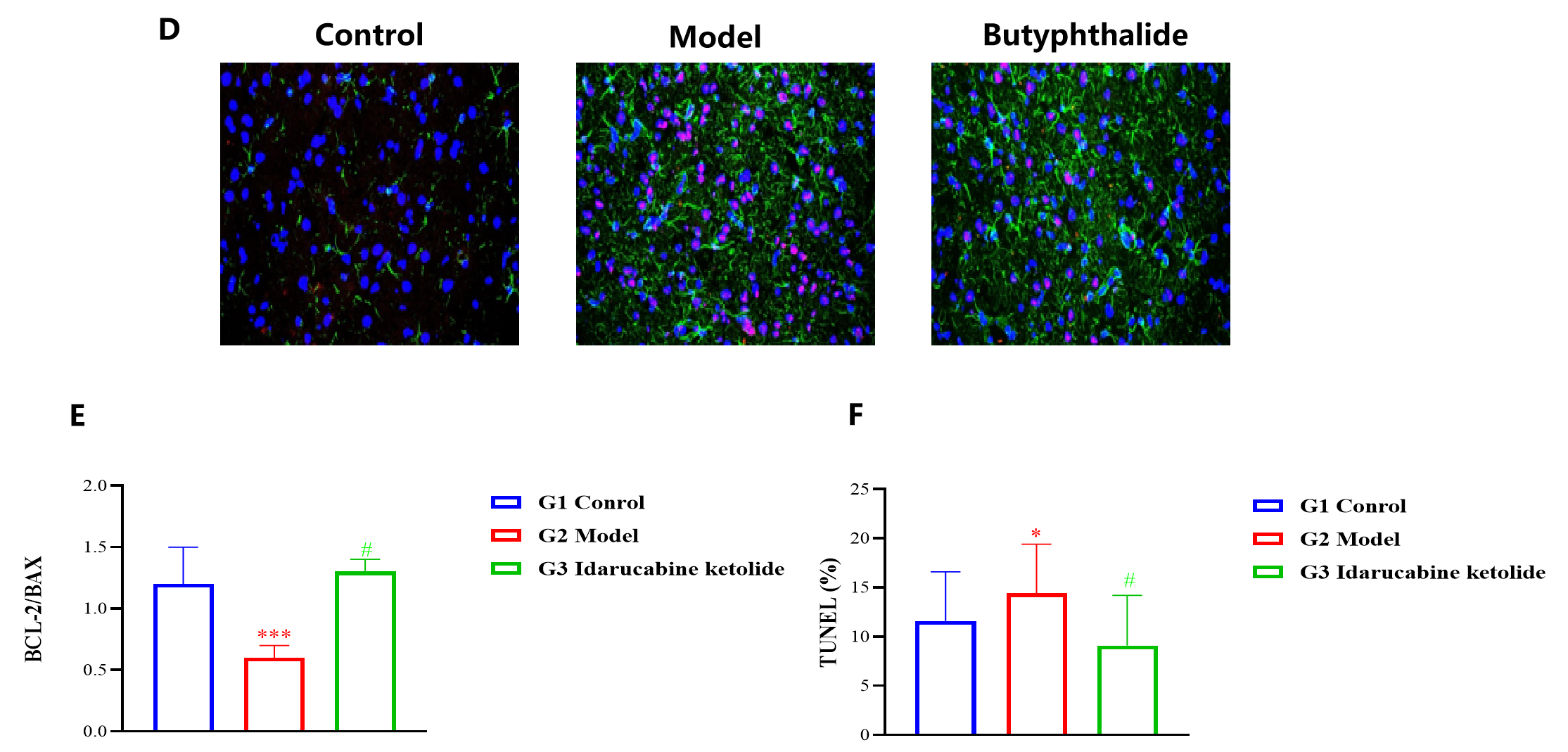 1773712061242398.png 圖片5.png