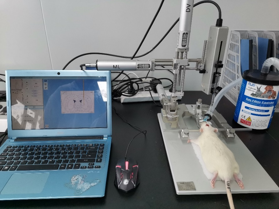 1773712077892134.png 圖片6.png