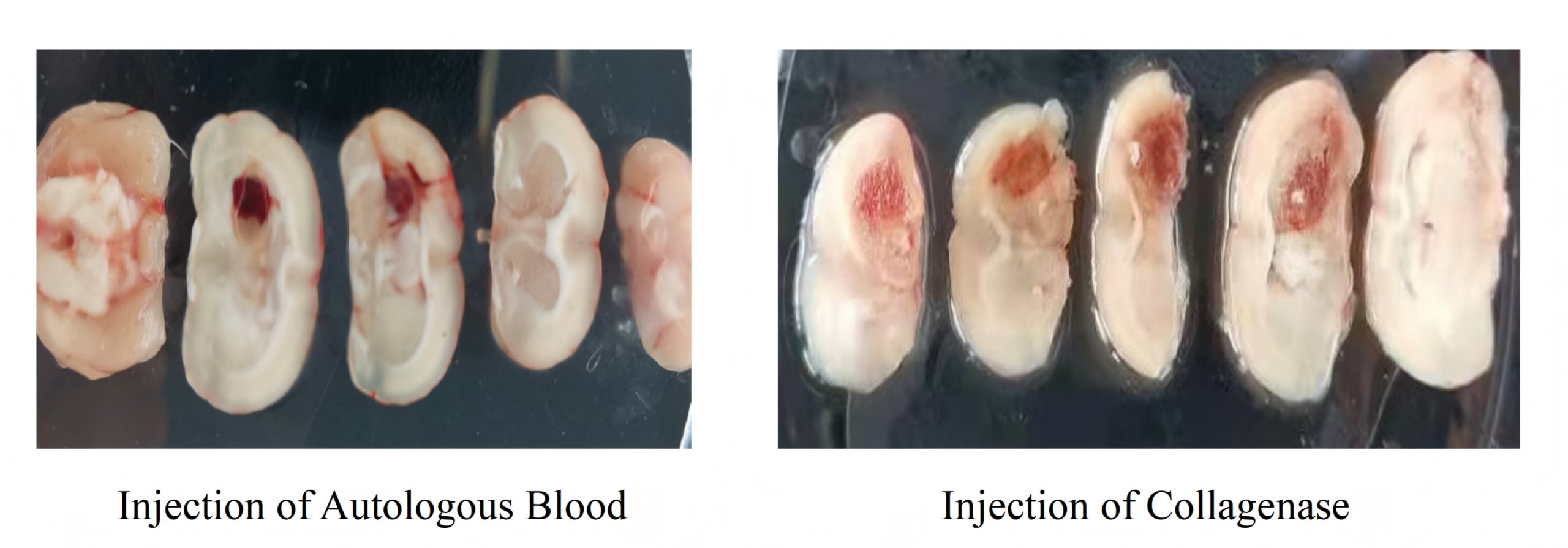 1773712120810976.png 微信圖片_2026-03-17_094822_776.png