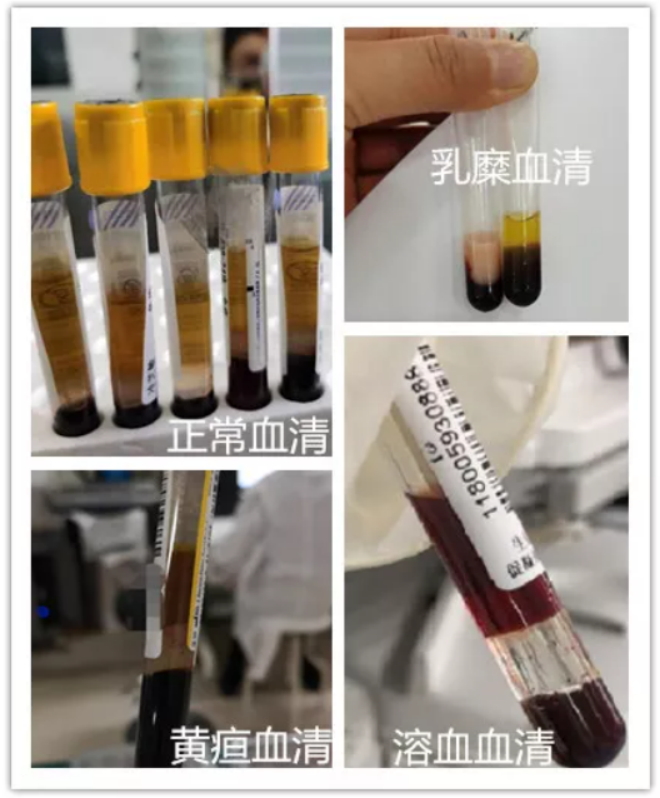 1698804625580412.png 640 (3).png