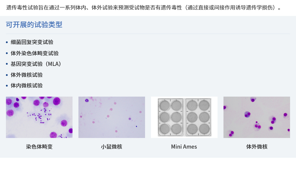 1699341522222775.jpg 4.jpg