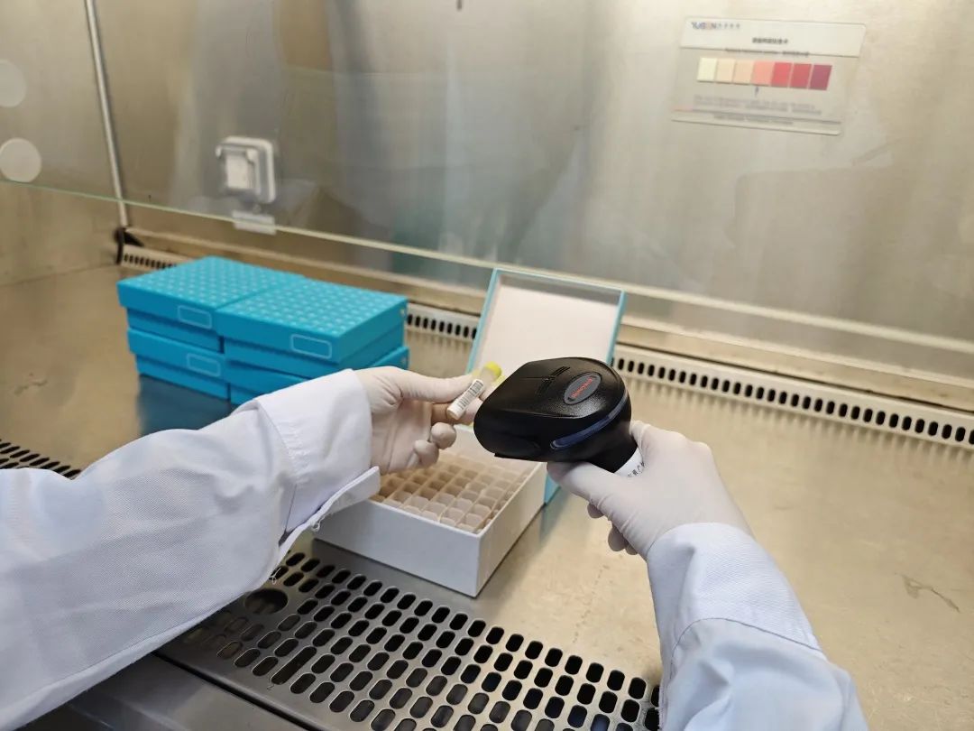 1701133195541511.jpg 640.jpg