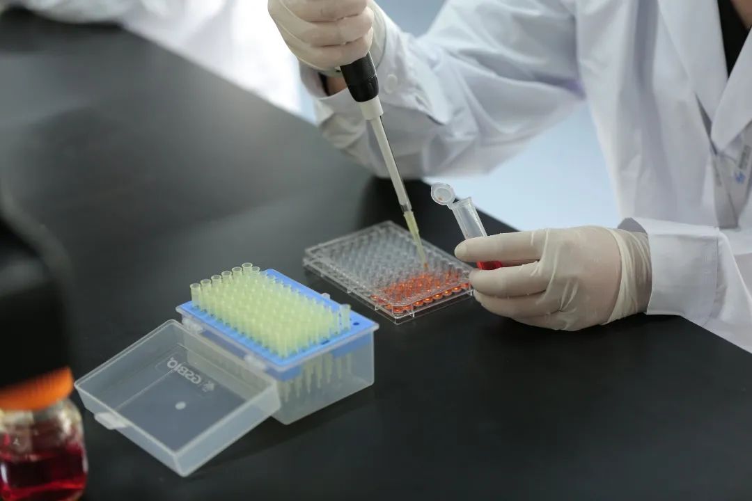 1701133388279362.jpg 640 (6).jpg