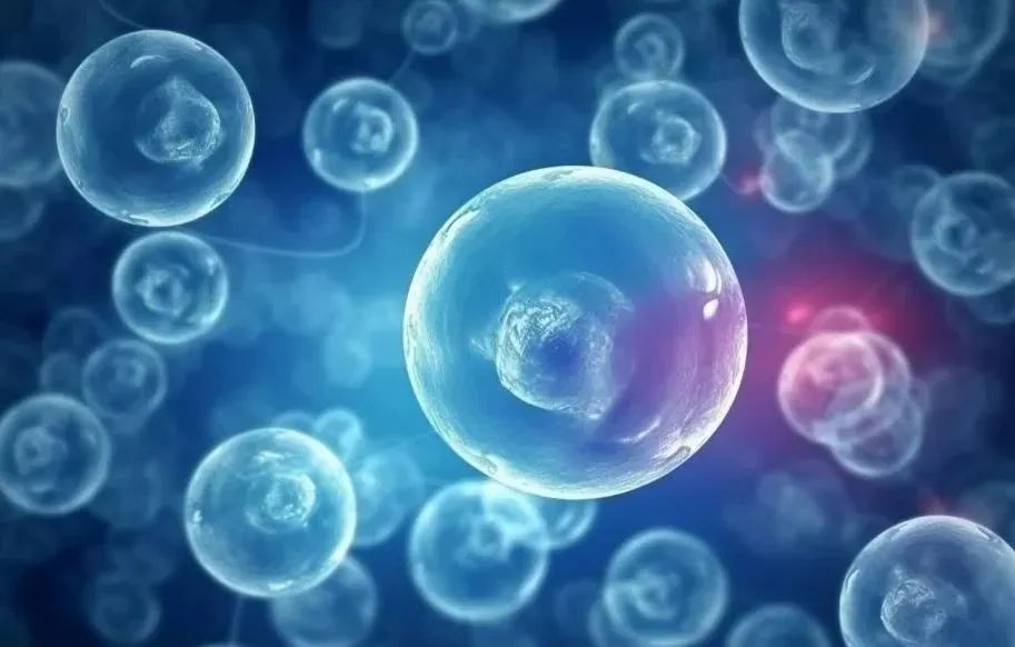 1701222794852029.jpg 640.jpg