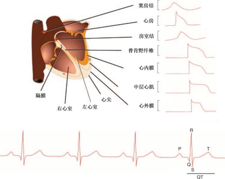 1717125944119908.png 微信圖片_20240531112535.png