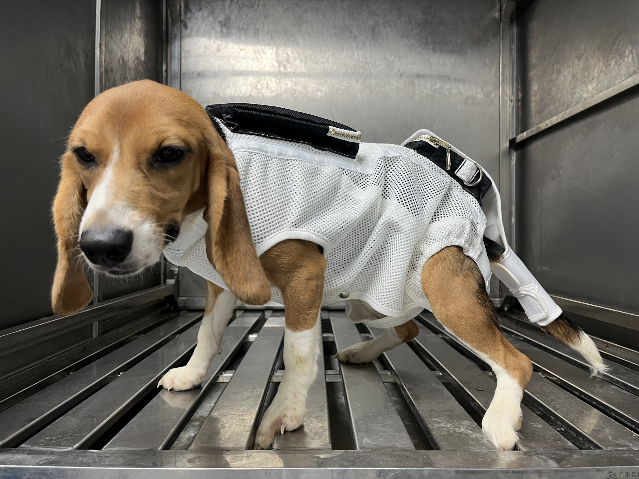 1717125971387544.png 微信圖片_20240531112559.png