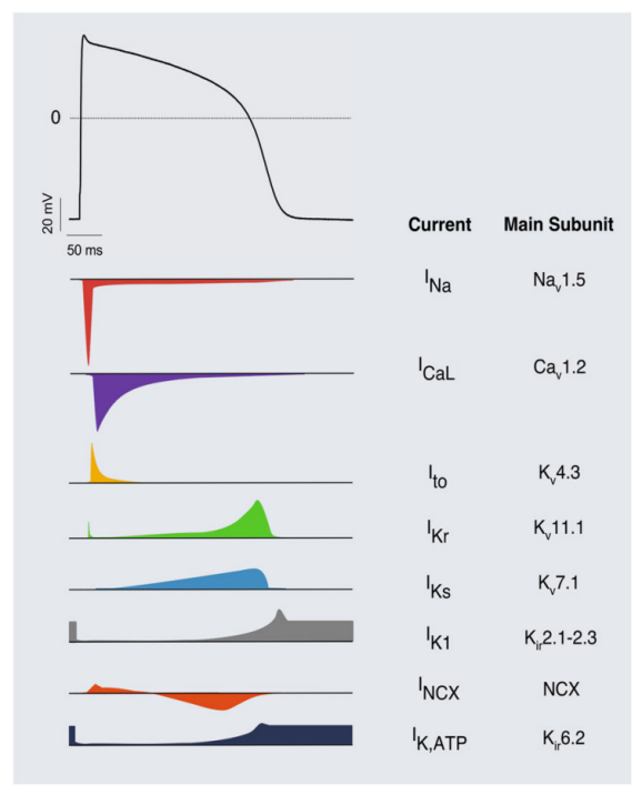 1717126000491638.png 微信圖片_20240531112630.png